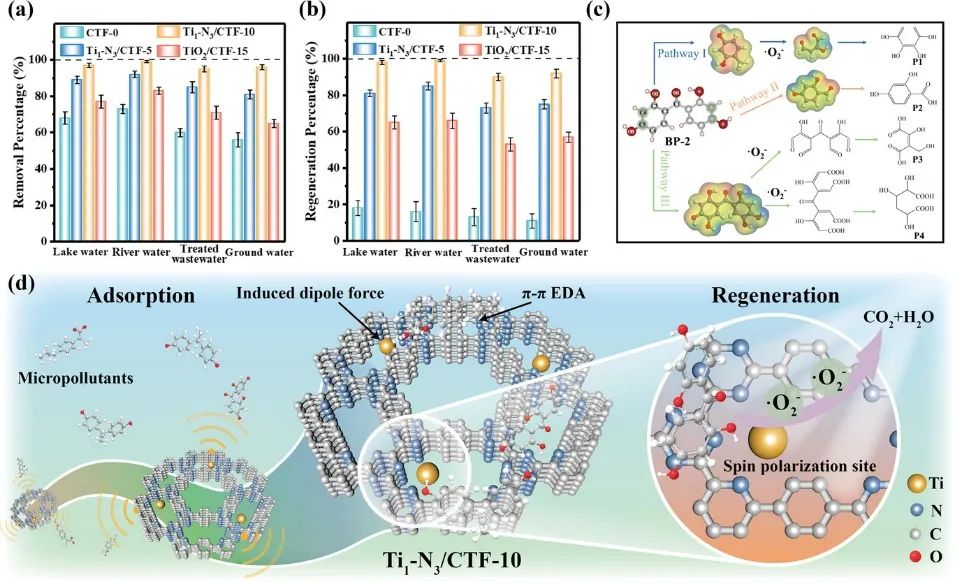 浙江工业沈意AFM：Ti1-N3/CTF-10高效去除微污染物