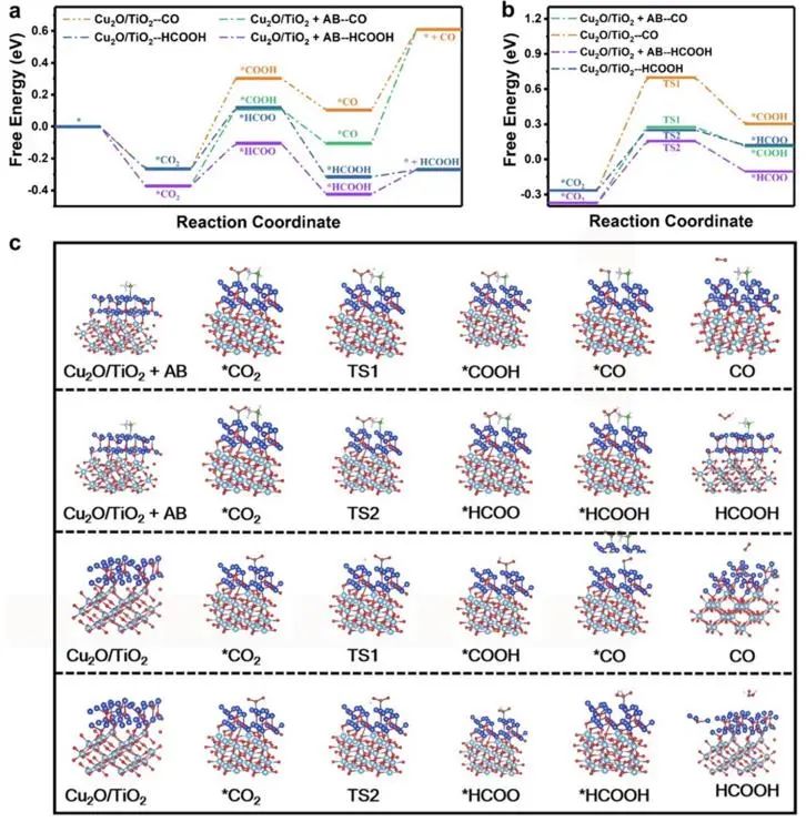 催化顶刊集锦：Nature子刊、JACS、Angew.、AM、AFM、Adv. Sci.、ACS Catal.等