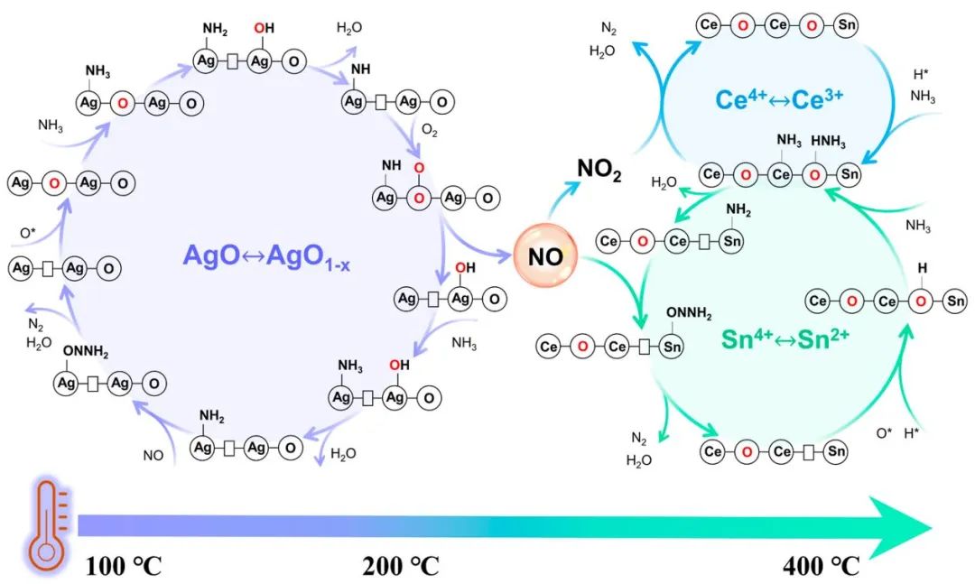 ​天大ACS Catalysis：Ag/CeSnOx串联催化剂通过界面电荷转移消除NH3