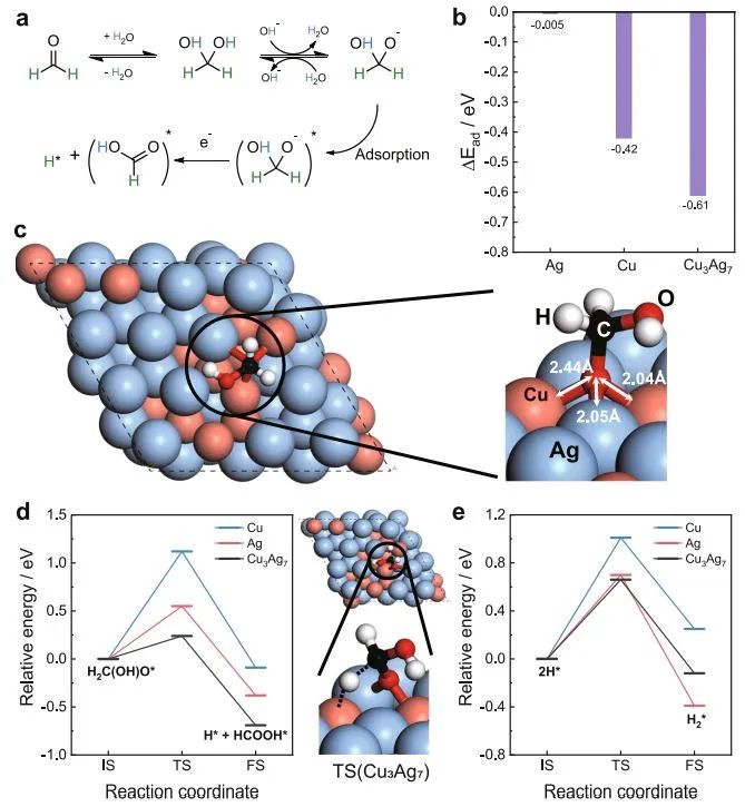 ​计算+实验顶刊：Nature子刊、AFM、AEM、Small、ACS Catalysis等成果精选！