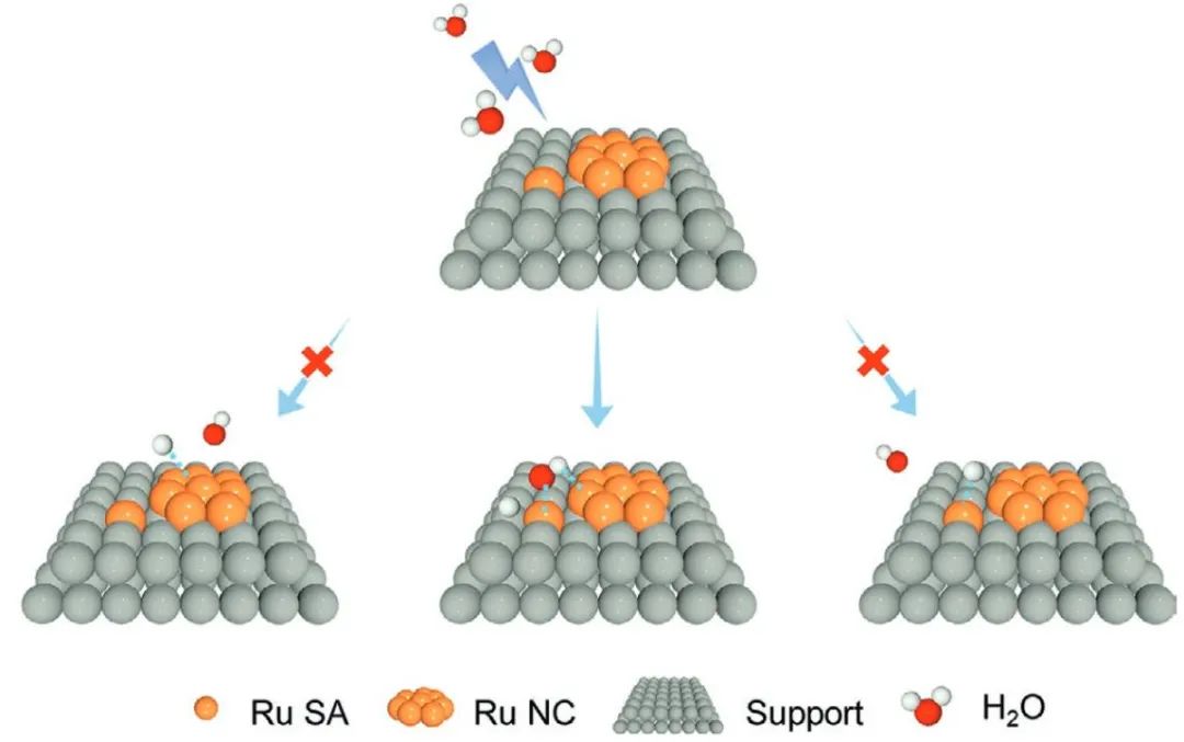 ​计算+实验顶刊：Nature子刊、AFM、AEM、Small、ACS Catalysis等成果精选！