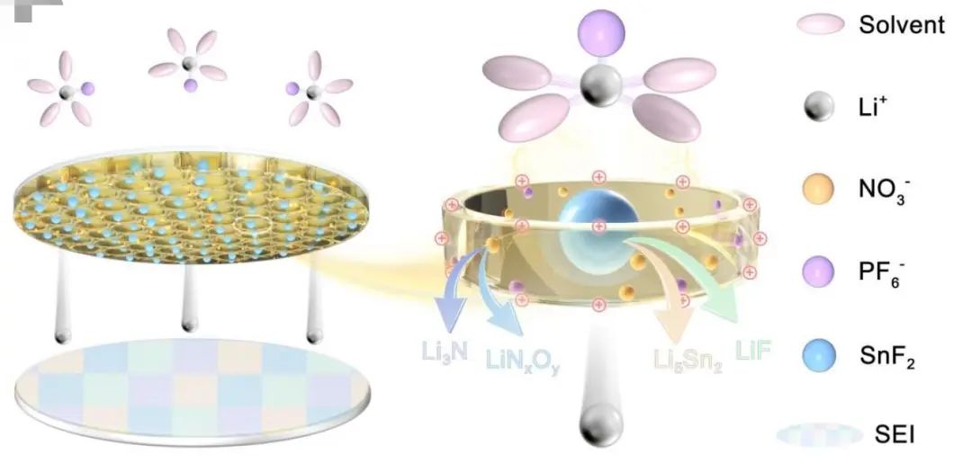 胡仁宗教授EES：富含SnF2和NO3的隔膜用于高性能锂金属电池的直接超稳定界面