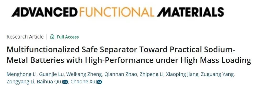 徐朝和教授AFM：多功能安全隔膜用于高负载钠金属电池