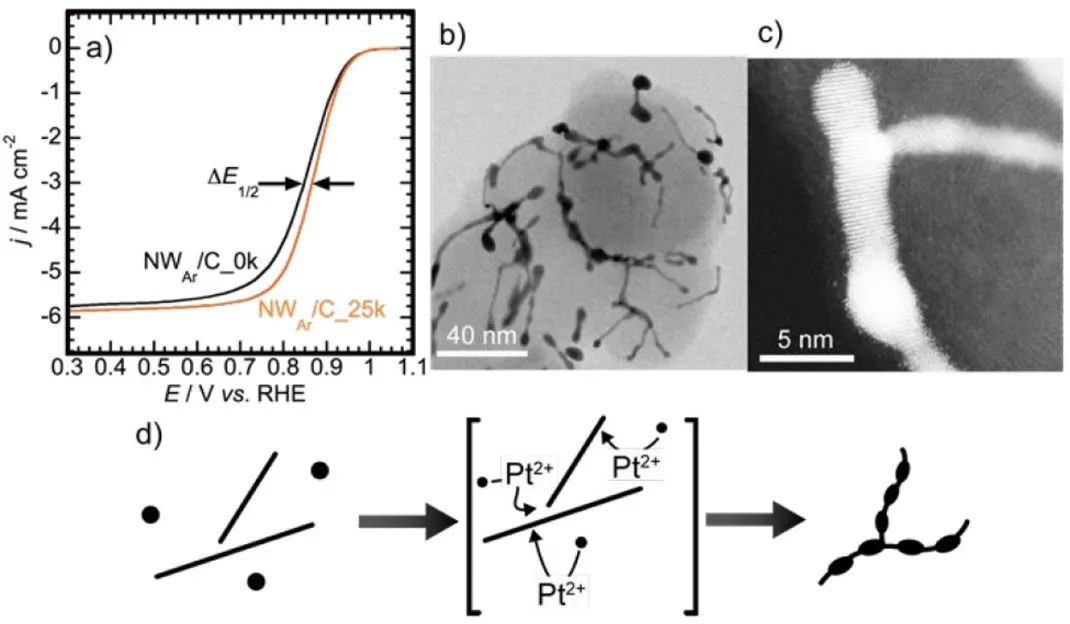 ACS Catal.：Pt-Ni纳米线作为ORR电催化剂在电位循环中向分支纳米结构的结构转变