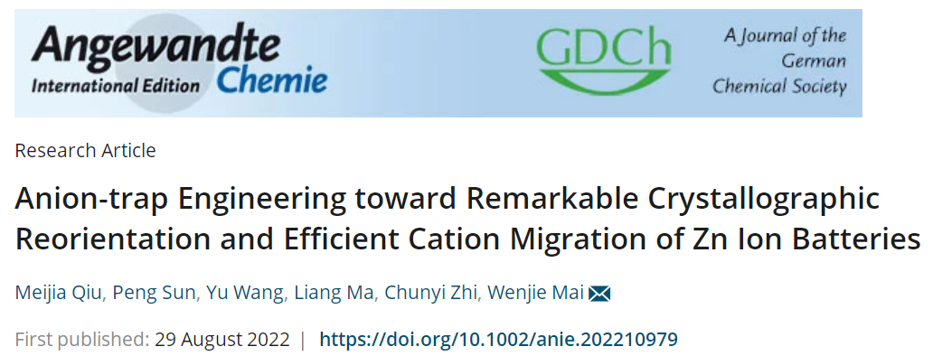 麦文杰&支春义Angew：主客体化学启发下的高性能锌电池！