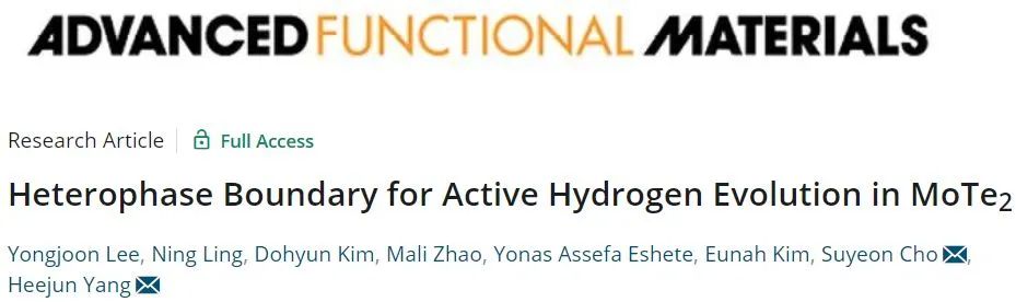 AFM: 异相工程: 1+1>2！MoTe2中的异相边界具有高HER活性