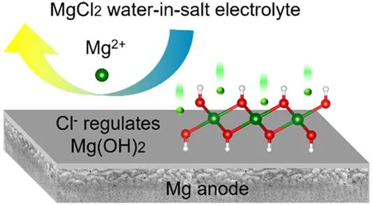 ​港大梁耀彰/潘文鼎ACS Energy Lett.: 盐包水电解液实现高压可逆水系镁电池！