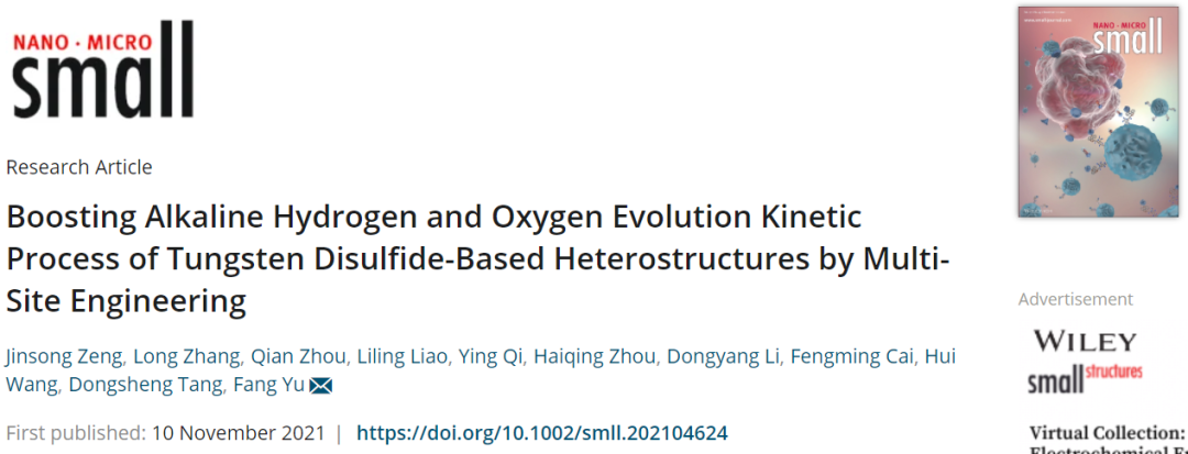 湖南师大余芳Small：利用多位点工程促进WS2基异质结构的碱性HER/OER动力学
