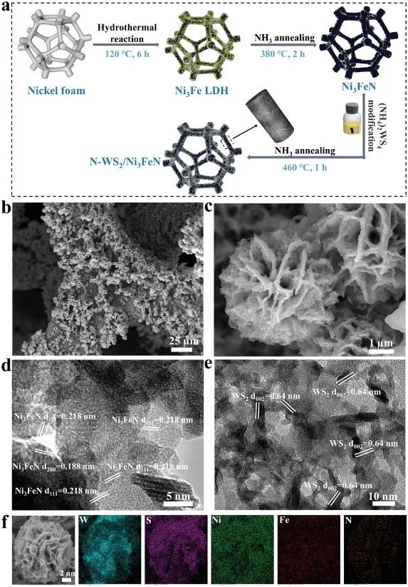 湖南师大余芳Small：利用多位点工程促进WS2基异质结构的碱性HER/OER动力学