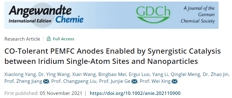 ​邢巍/葛君杰/姜政Angew热点论文：单原子位点“携手”颗粒，协同催化！
