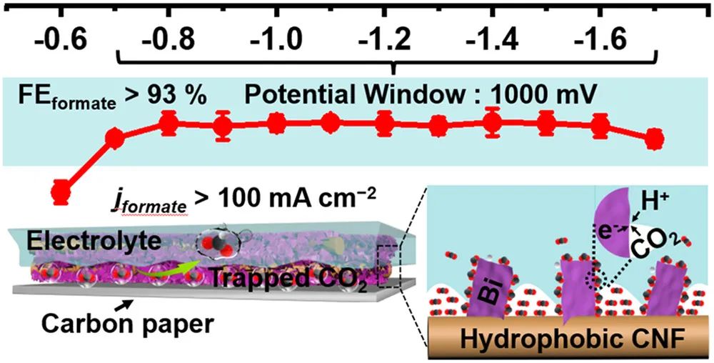 骆静利ACS Nano：具有固有疏水性的CNF上的Bi2O3 NSs用于在宽电位窗口中进行高性能CO2电还原