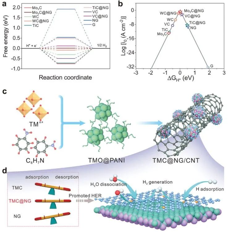 8篇催化顶刊：Angew.、AFM、 ACS Catal.、Adv. Sci.等最新成果