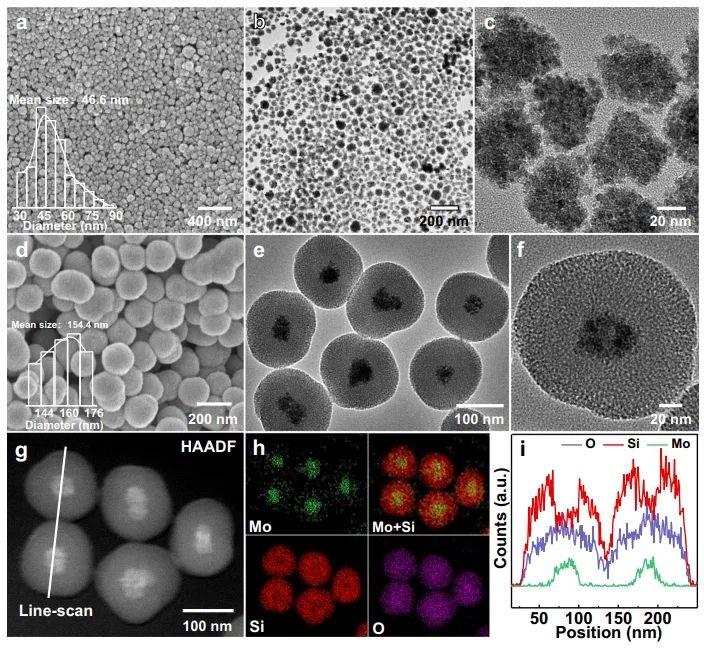 曾华淳等Nature子刊：Cu原子和Sv助力应变少层MoS2选择性催化CO2加氢制甲醇