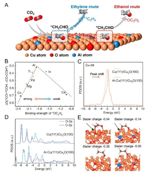 ​化学所韩布兴/孙晓甫JACS: Lewis酸金属掺杂Cuδ+，调控催化剂亲氧性以促进CO2电还原为C2+醇