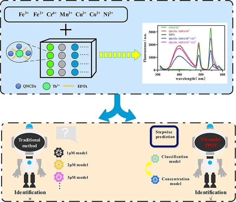 师庆东/许紫峻CEJ: 机器学习辅助多发射传感器高精度检测重金属离子