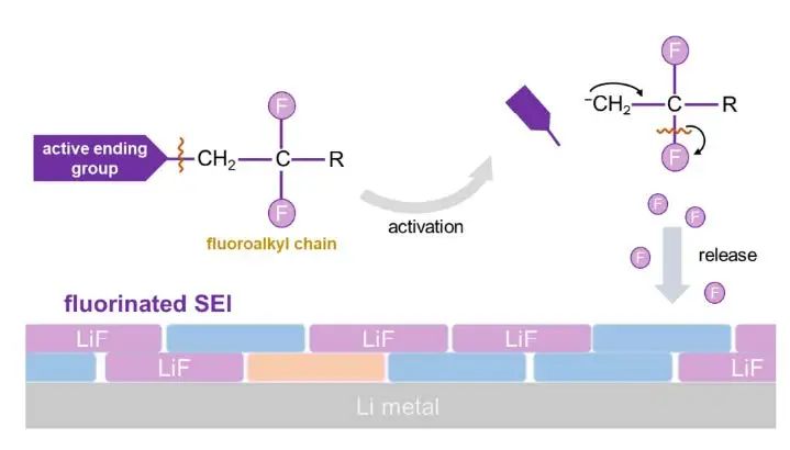 引爆热点！张强/张学强Angew继续关注氟化电解液