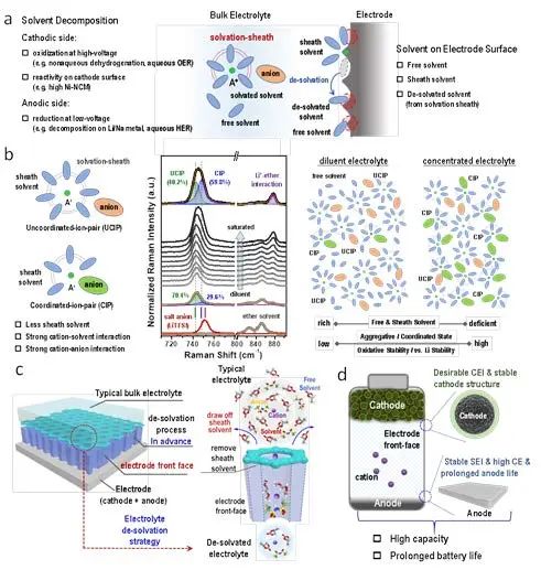 周豪慎/乔羽AM：通过构建电极正面定制阳离子的溶剂化鞘层