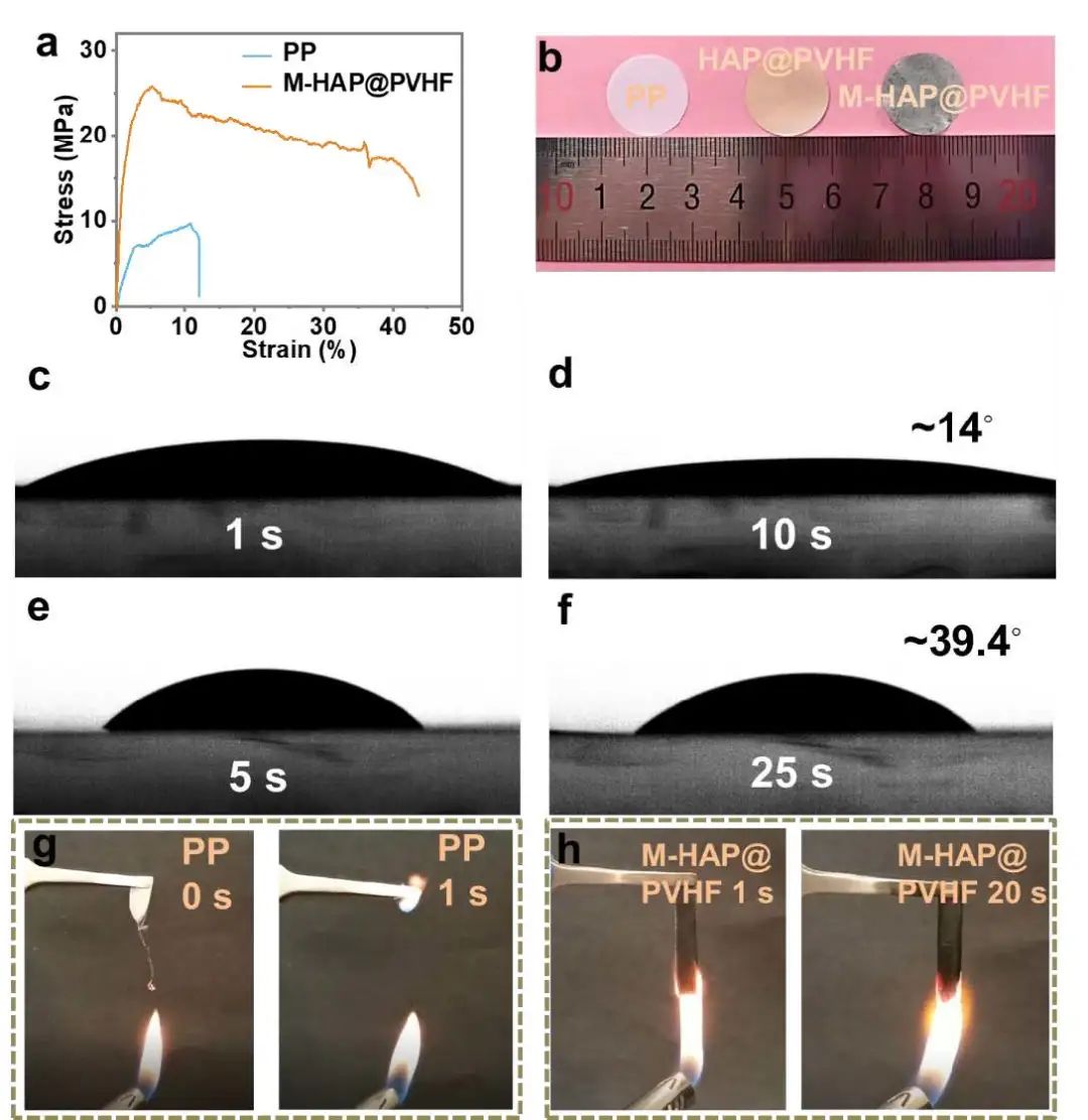 港城大支春义Nano Energy：用于安全锂离子电池的双功能隔膜