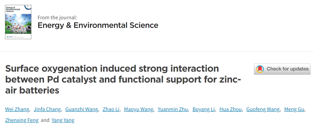 杨阳/冯振兴EES: 表面氧化诱导Pd催化剂与锌空气电池功能载体之间的强相互作用