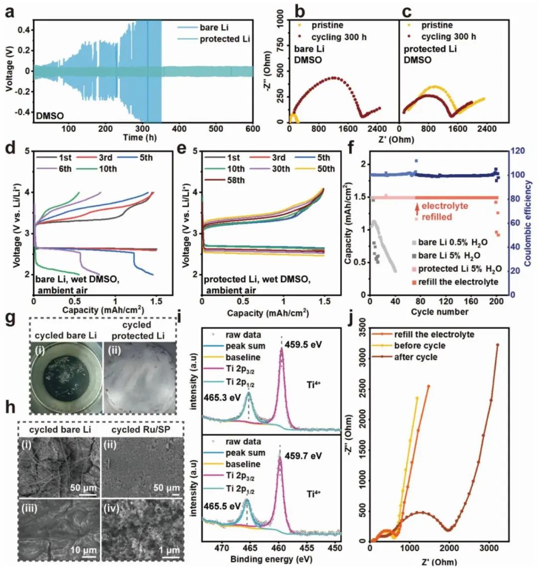 东南&同济Adv. Sci.: 防水锂负极+LiOH正极=长寿命高能锂空气电池