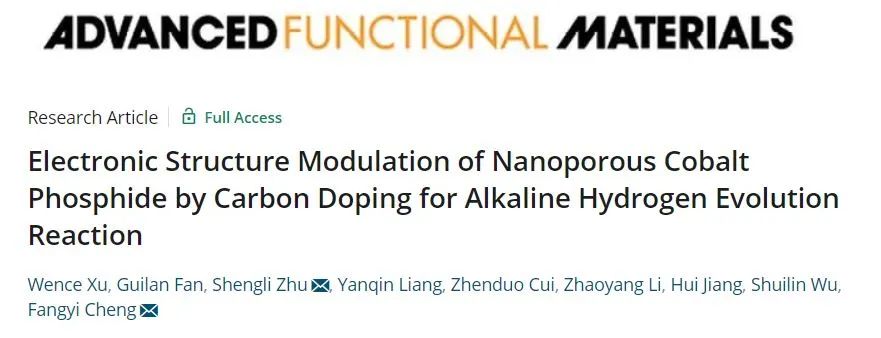 程方益/朱胜利AFM: 碳掺杂调控纳米多孔磷化钴电子结构用于电催化碱性HER