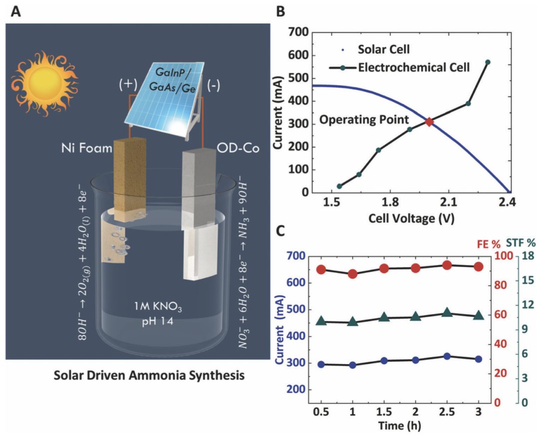 EES：电催化NO3-制氨，FE>92%，太阳能转化效率>11%