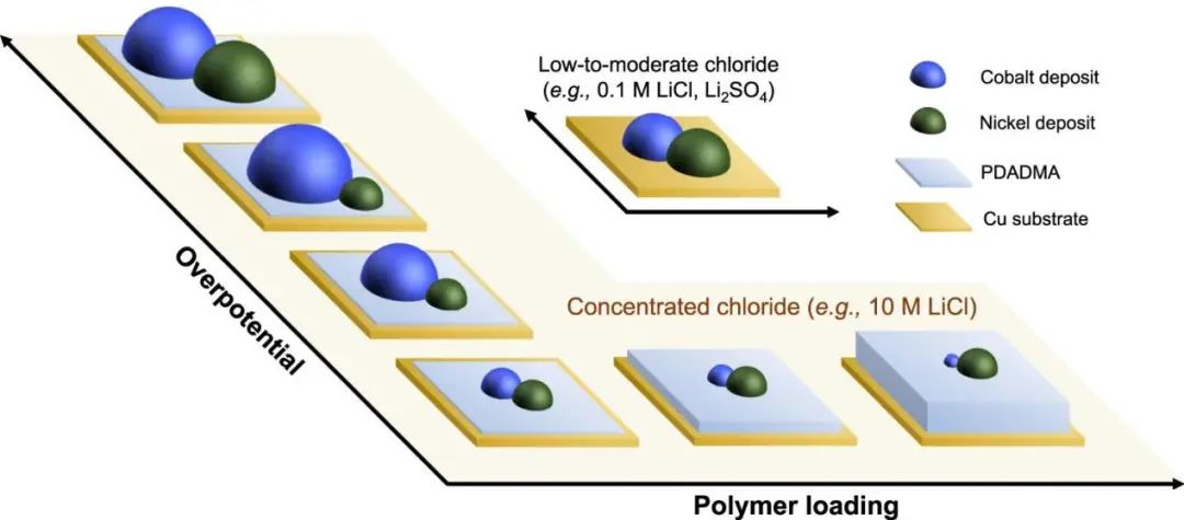 Nat. Commun.: 集成电解液和界面控制实现锂离子电池钴和镍选择性电沉积