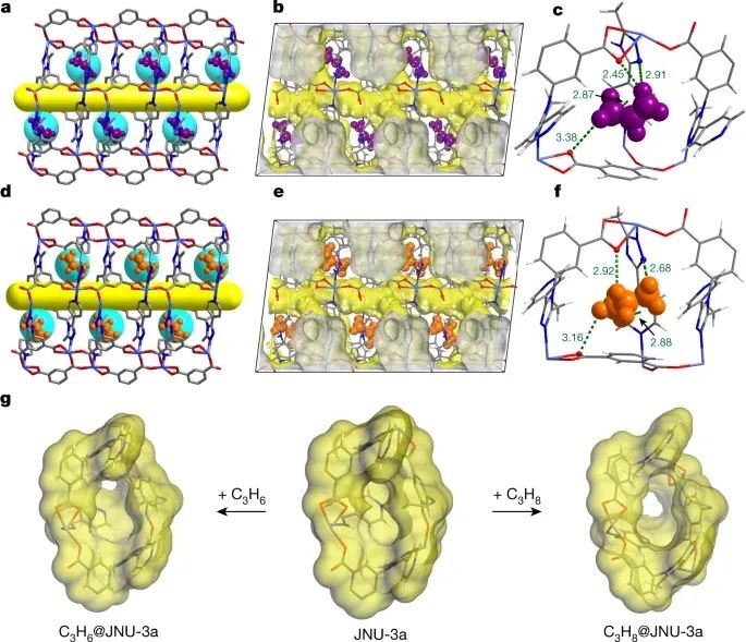 独立完成！暨南大学2021年第1篇Nature