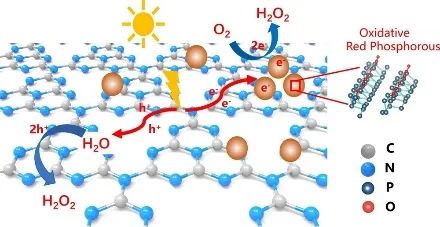 龙明策Appl. Catal. B.：提高25倍以上！ORP/GCN高效光催化氧气和纯水制取H2O2