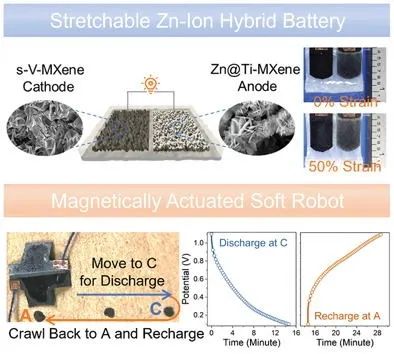 南科大&马里兰AEM：具有双MXene电极的可拉伸锌离子混合电池作为磁驱动软体机器人