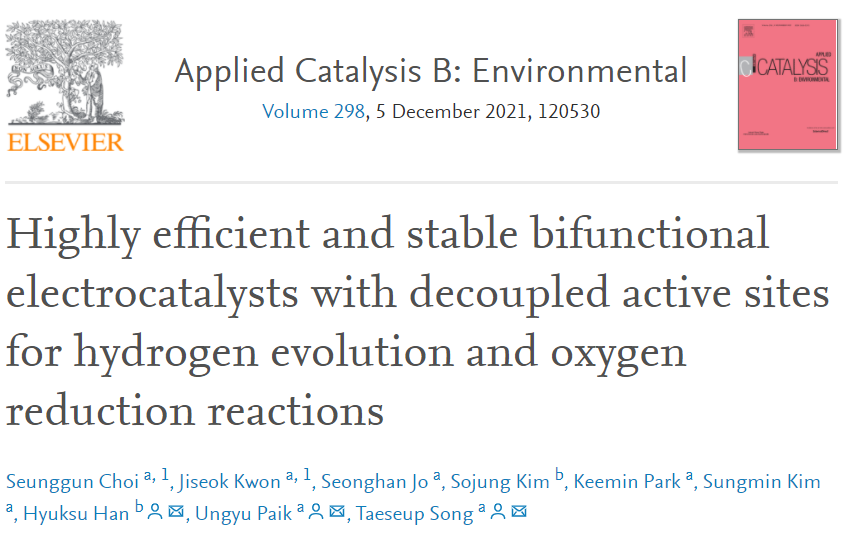 Appl. Catal. B.：高效稳定双功能电催化剂助力HER和ORR