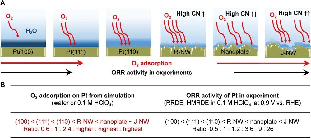 最新催化汇总：3篇Angew.、2篇JACS、2篇Nano Lett.和1篇Science子刊