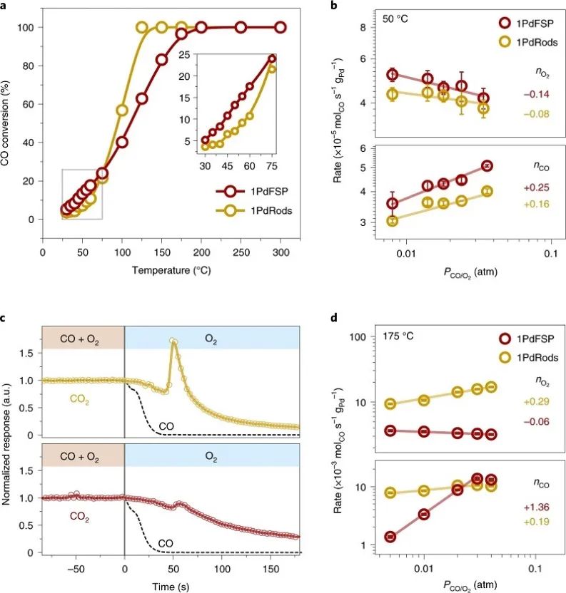 单原子催化领域，再获一篇Nature Catalysis！