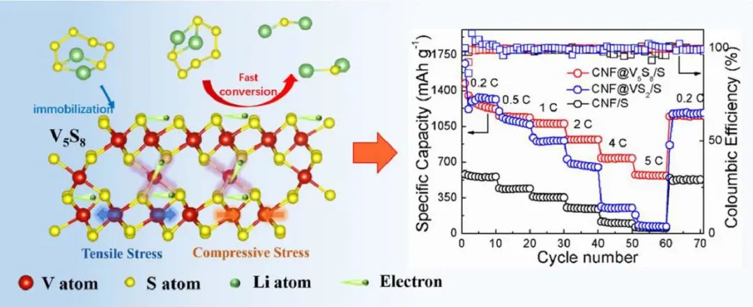 周金元/赵浩EnSM：揭示锂硫电池中V5S8在多硫化锂上的催化本质