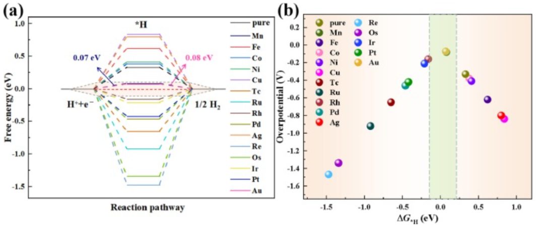 【MS纯计算】J. Colloid Interf. Sci.：用于促进氧还原、析氧和析氢的单过渡金属修饰C4N/MoS2异质结构