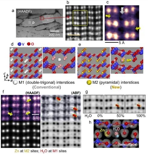 Nat. Commun.：钒氧化物中水合锌离子嵌入过程中多相演化的原子级揭示