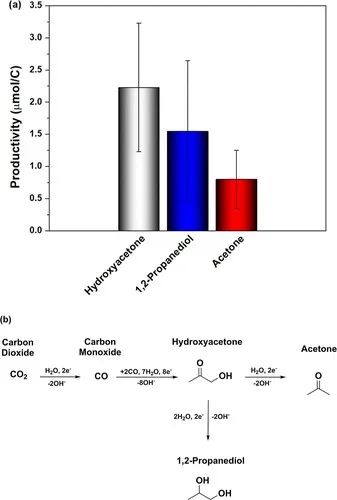 CO2电还原大牛Marc Koper教授最新JACS！C3产物的形成机理！