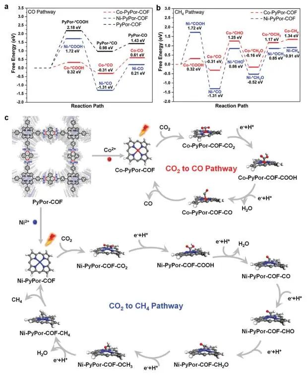 山东大学李培洲Small：提高45倍！M-PyPor-COFs实现高效CO2光还原