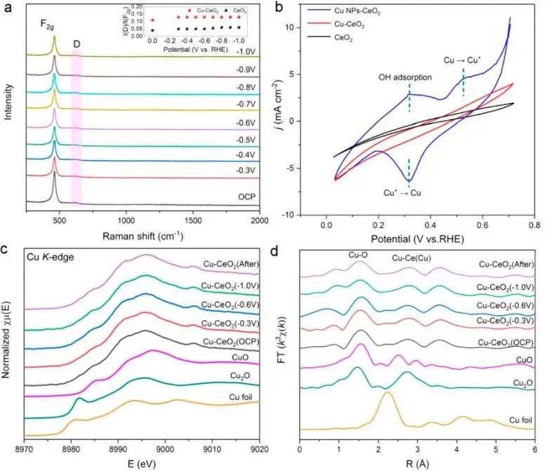 ​催化顶刊集锦：Nature子刊、Angew.、AFM、ACS Nano、Small等成果