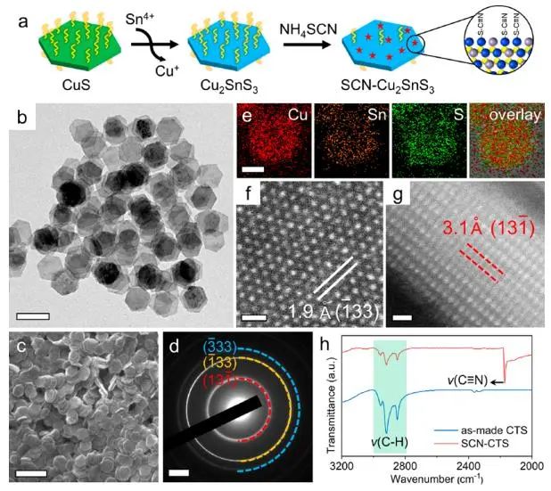 催化顶刊集锦：Nature子刊、JACS、Angew.、AFM、Nano Letters、ACS Catal.等成果