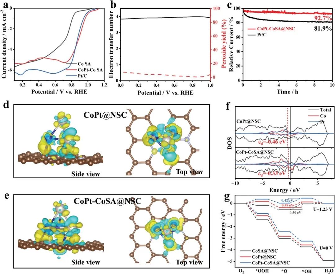 催化顶刊合集：EES、AM、AFM、Adv. Sci.、JEM、Small、CEJ等成果！