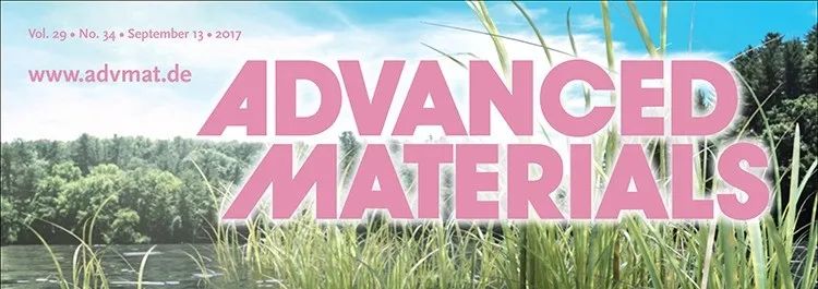 材料顶刊Advanced Materials，接连三篇撤稿!