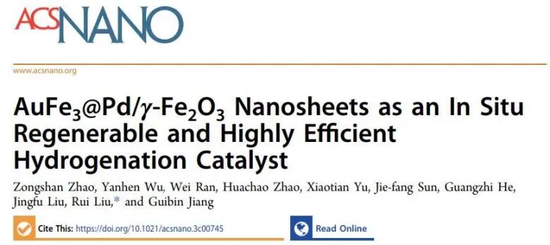 刘睿ACS Nano：AuFe3@Pd/γ-Fe2O3上Pd可原位再生，高效催化有机污染物加氢脱卤