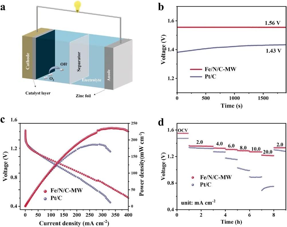 催化顶刊合集：JACS、Angew.、AFM、Small、Appl. Catal. B、JEC等成果