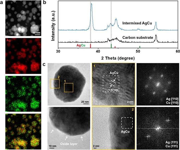 杨培东院士，最新JACS！