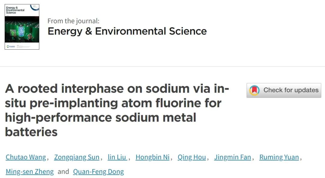 董全峰/郑明森EES：通过原位预植入原子在钠金属上构建稳定SEI