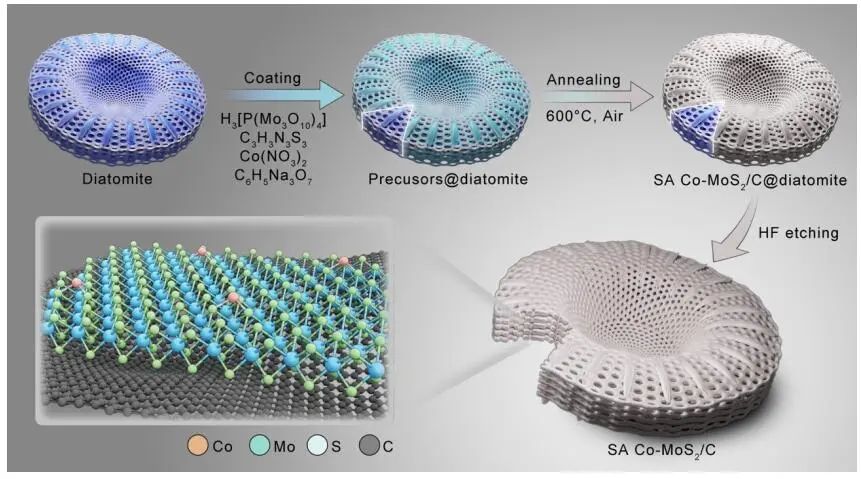 史建平团队AM：SA Co-MoS2/C复合材料实现高性能钠的储存