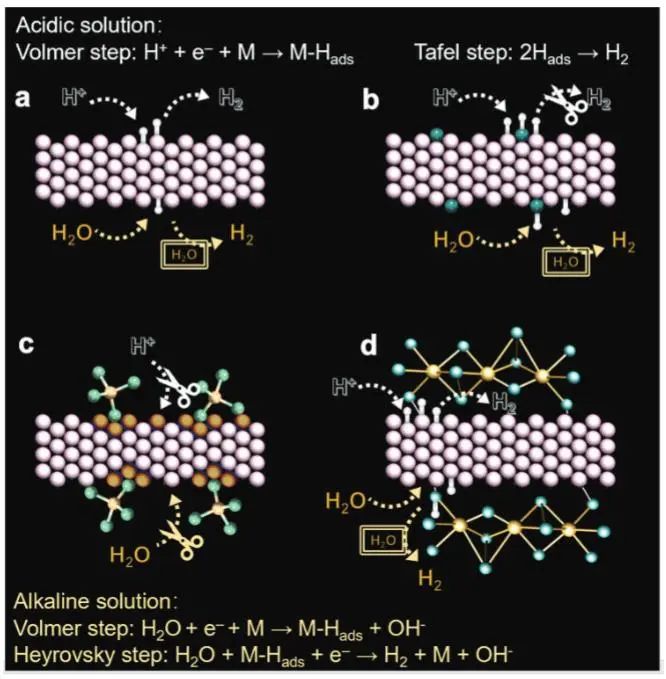 催化顶刊集锦：JACS、Angew、ACS Catal.、AFM、Adv. Sci.、Nano Lett.、Small等