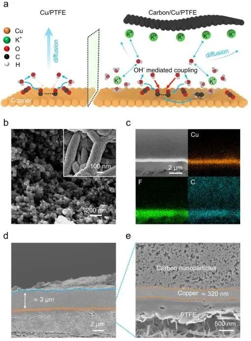 催化顶刊集锦：Nature子刊.、Angew.、JACS、ACS Catalysis、AFM、Small等成果