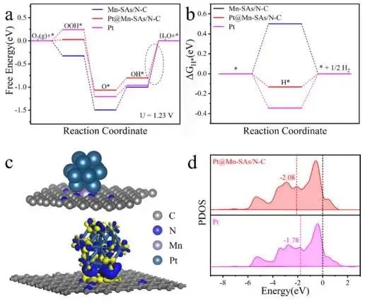 催化顶刊集锦：Nature子刊.、Angew.、JACS、ACS Catalysis、AFM、Small等成果